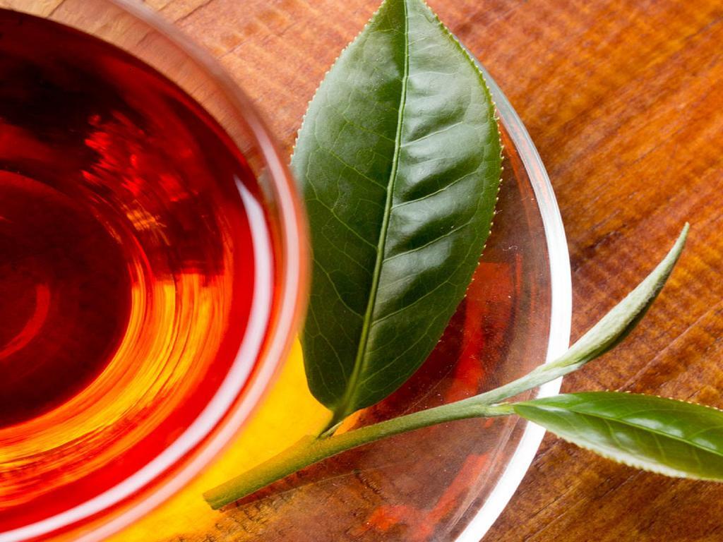 Lin Tea B&B Ruisui Dış mekan fotoğraf
