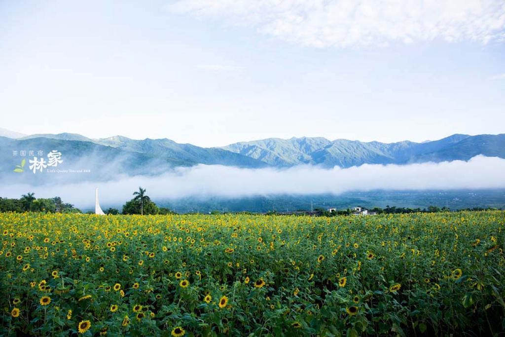 Lin Tea B&B Ruisui Dış mekan fotoğraf